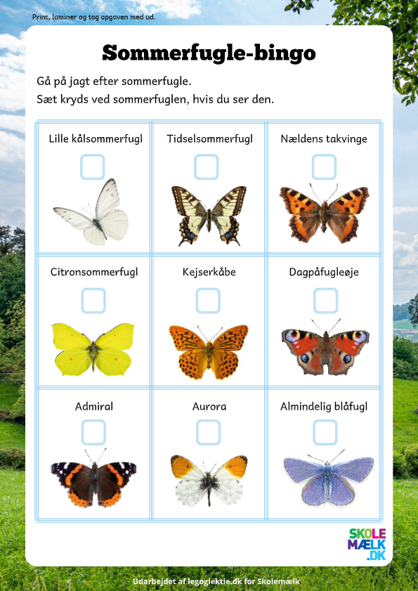 Sommerfugle-bingo hvor dit barn skal ud i naturen og finde forskellige sommerfugle.