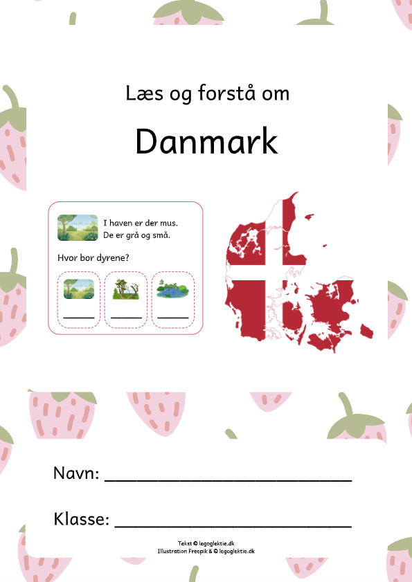 Danskopgave med læs og forstå om Danmark til 1. klasse.