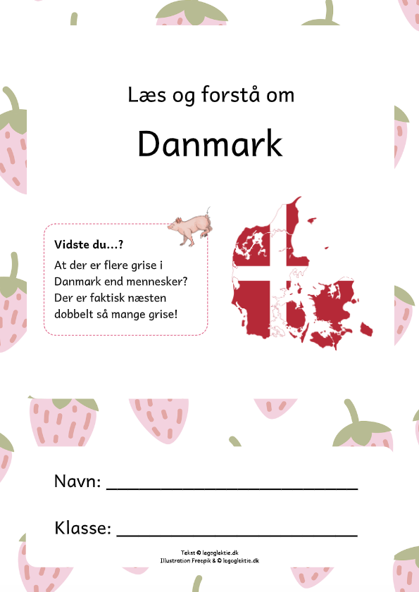 Danskopgave med læs og forstå om Danmark til 2. klasse og 3. klasse.